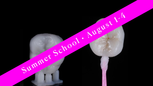 Summer School Dental 3D CE 1